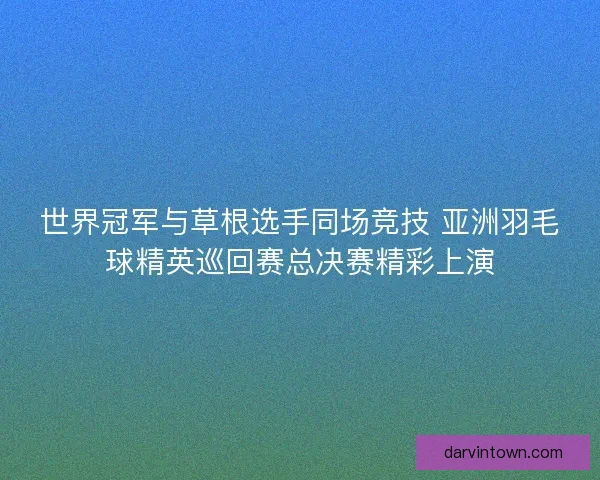 世界冠军与草根选手同场竞技 亚洲羽毛球精英巡回赛总决赛精彩上演