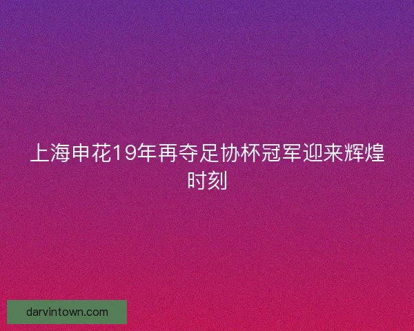 上海申花19年再夺足协杯冠军迎来辉煌时刻