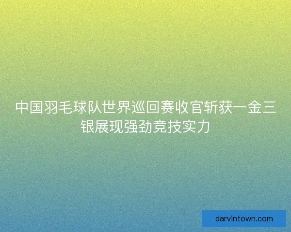 中国羽毛球队世界巡回赛收官斩获一金三银展现强劲竞技实力