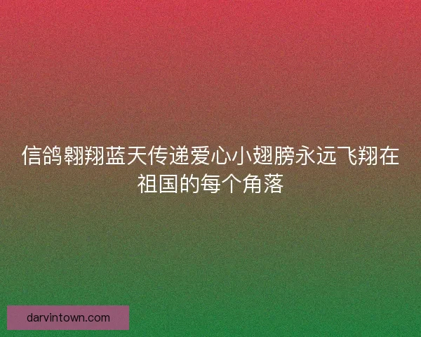 信鸽翱翔蓝天传递爱心小翅膀永远飞翔在祖国的每个角落