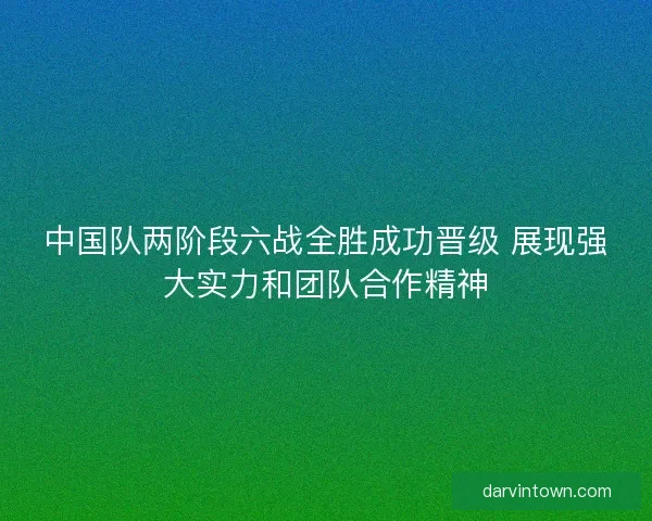 中国队两阶段六战全胜成功晋级 展现强大实力和团队合作精神