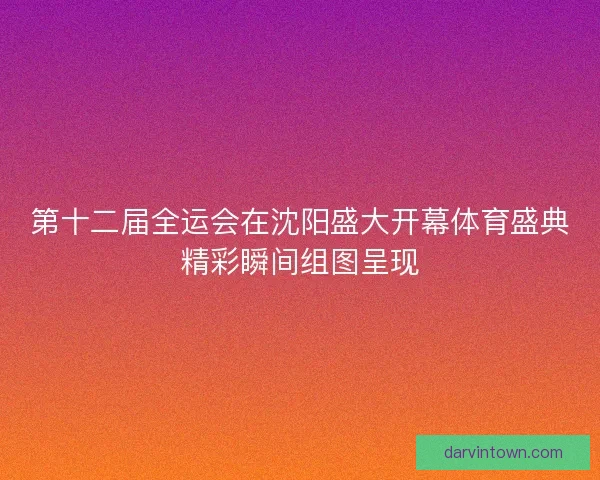 第十二届全运会在沈阳盛大开幕体育盛典精彩瞬间组图呈现