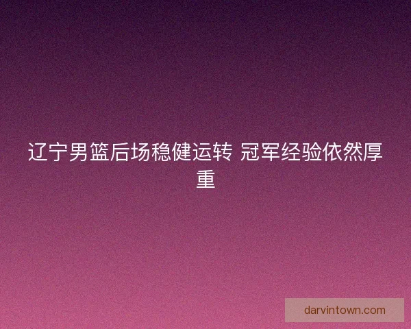 辽宁男篮后场稳健运转 冠军经验依然厚重